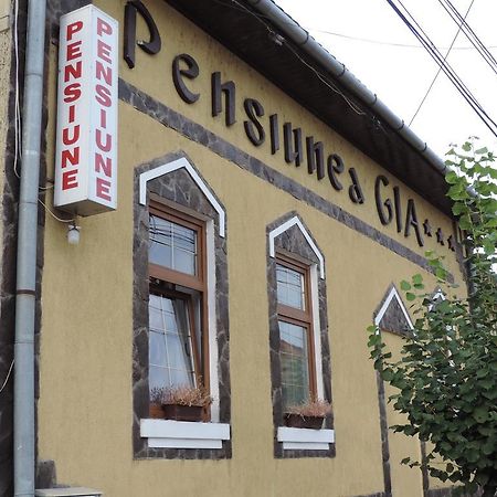 Pensiunea Gia Sighişoara Extérieur photo