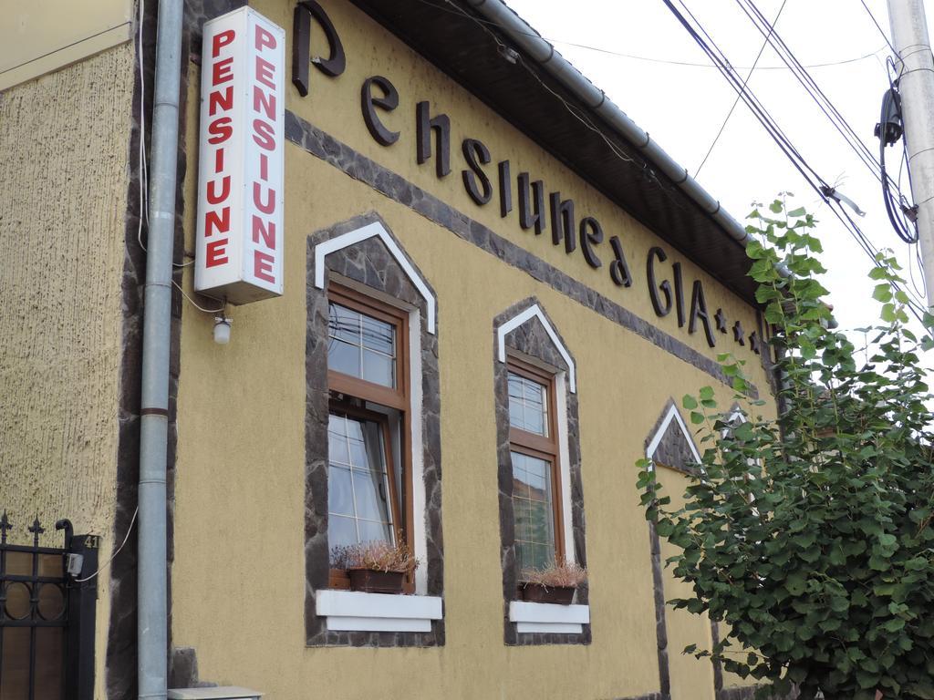 Pensiunea Gia Sighişoara Extérieur photo